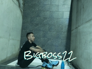Bigboss22