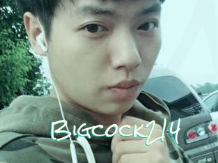 Bigcock214