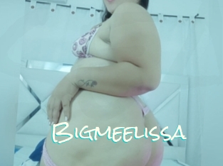 Bigmeelissa