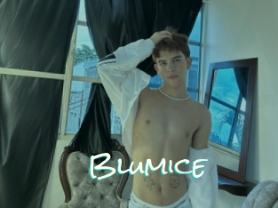 Blumice