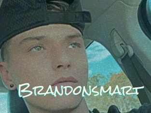 Brandonsmart