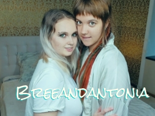 Breeandantonia