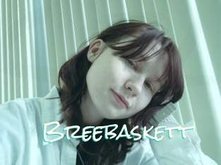 Breebaskett