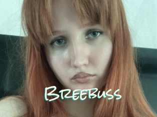 Breebuss