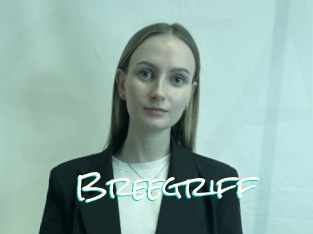 Breegriff