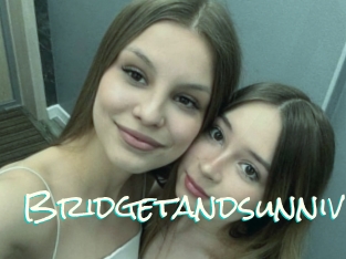 Bridgetandsunniv