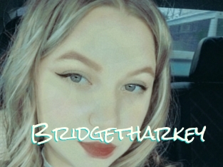 Bridgetharkey