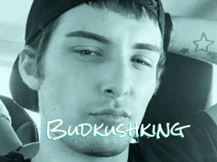 Budkushking