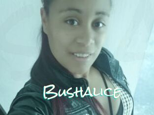 Bushalice