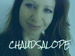 CHAUDSALOPE