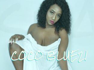 COCO_BLUE21