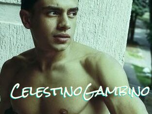 CelestinoGambino