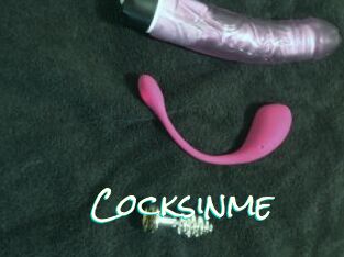 Cocksinme