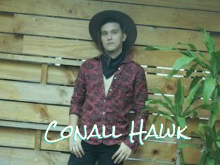 Conall_Hawk