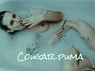 Cougar_puma