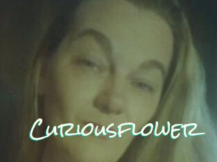 Curiousflower