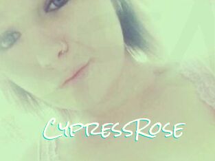 Cypress_Rose