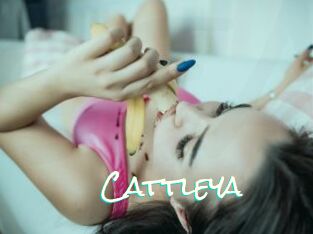 _Cattleya