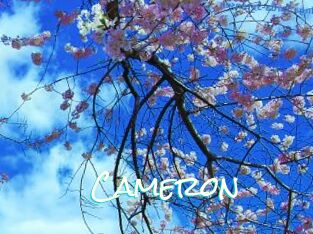 Cameron