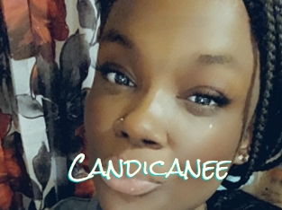 Candicanee