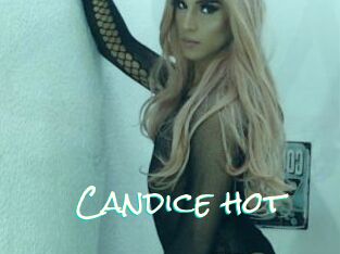 Candice_hot