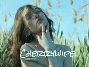 Cherrywipe