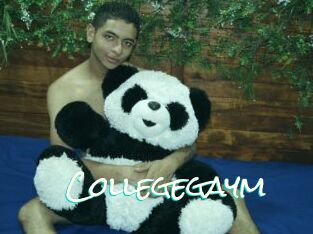 Collegegaym