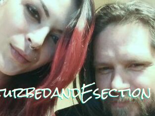 DeziDisturbedandEsection