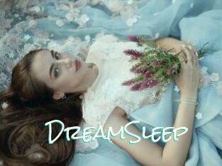 DreamSleep
