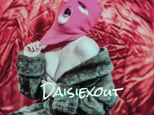 Daisiexout