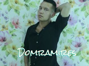 Domramires