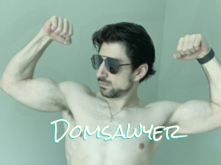 Domsawyer