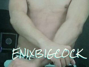 ENIXBIGCOCK