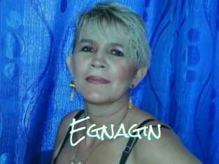 Egnagin