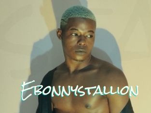 Ebonnystallion