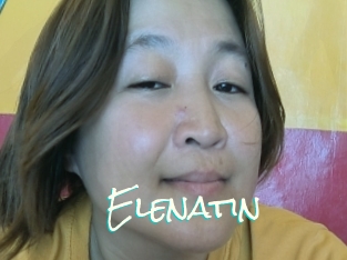 Elenatin