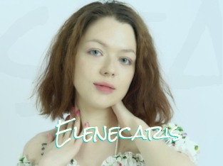 Elenecaris