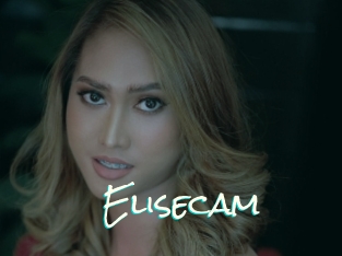 Elisecam