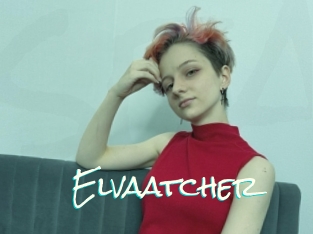 Elvaatcher