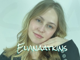 Elvinaatkins