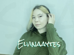 Elvinaaytes