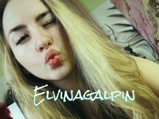 Elvinagalpin