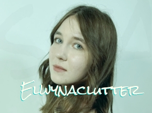 Elwynaclutter