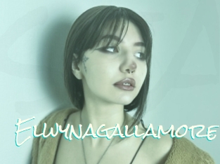 Elwynagallamore