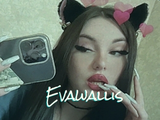 Evawallis