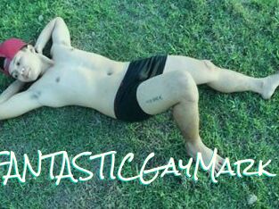 FANTASTICGayMark