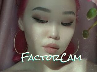 FactorCam