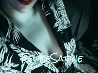 FelineSatine
