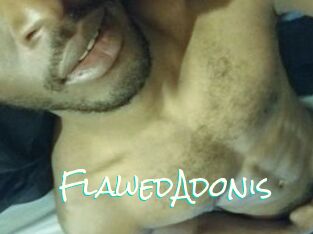 FlawedAdonis