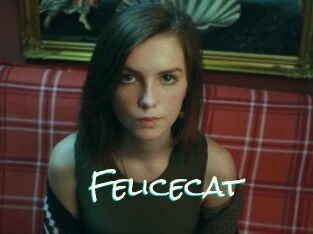 Felicecat